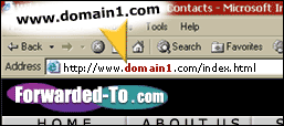 hide domain name and mask domain name from visitors view